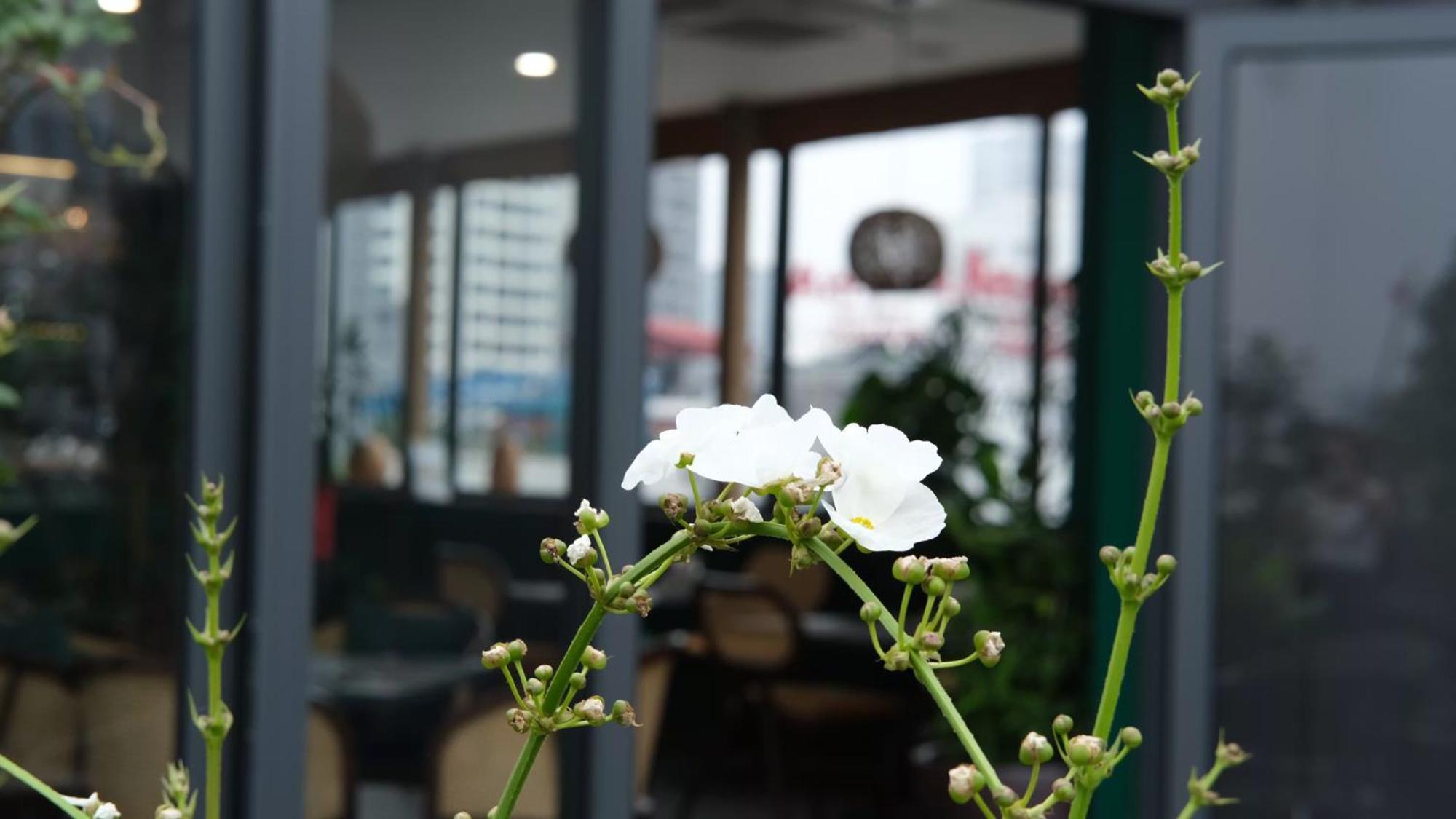 The Bloom Classic - Hotel And Bistro Hanoi Exterior foto